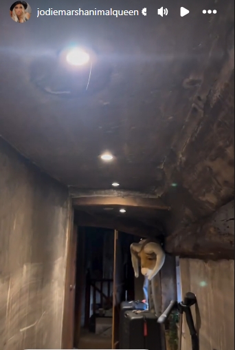 The hallway ceiling was left blackened by smoke, with soot clinging to the walls and fixtures throughout the fire-damaged upper floor. | Source: Instagram/jodiemarshanimalqueen