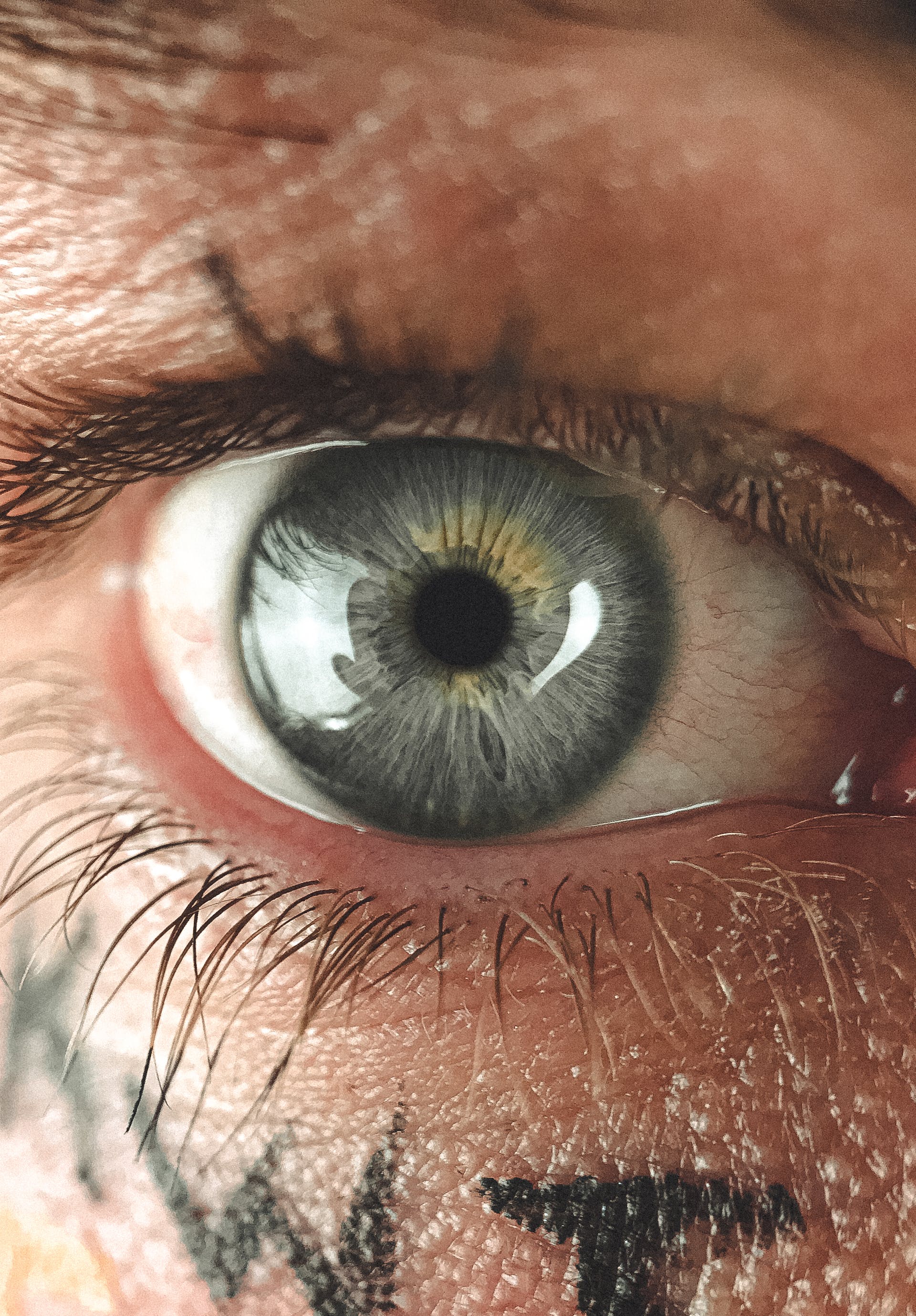 Close-up of a man's eye | Source: Pexels