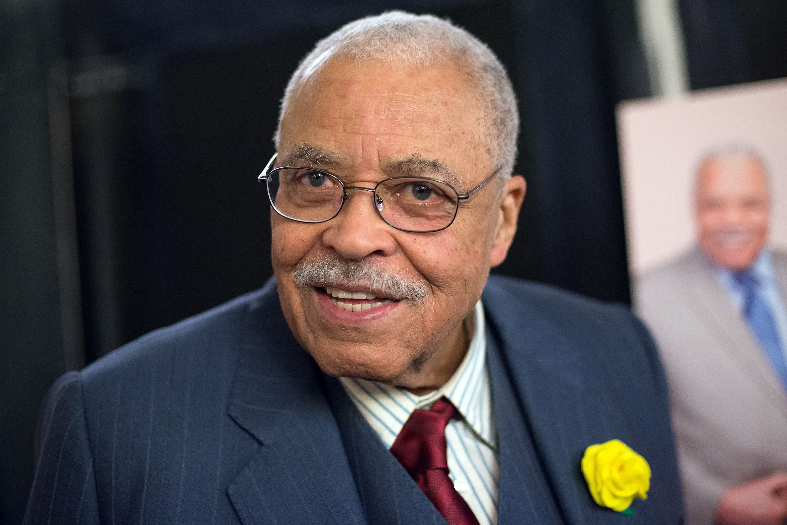 James Earl Jones at "The Gin Game" Broadway opening night after party in 2015 | Photo: Getty Images