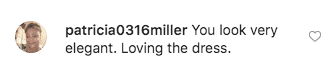 A fan's comment on Evelyn Braxton's Instagram post | instagram.com/evelynbraxton