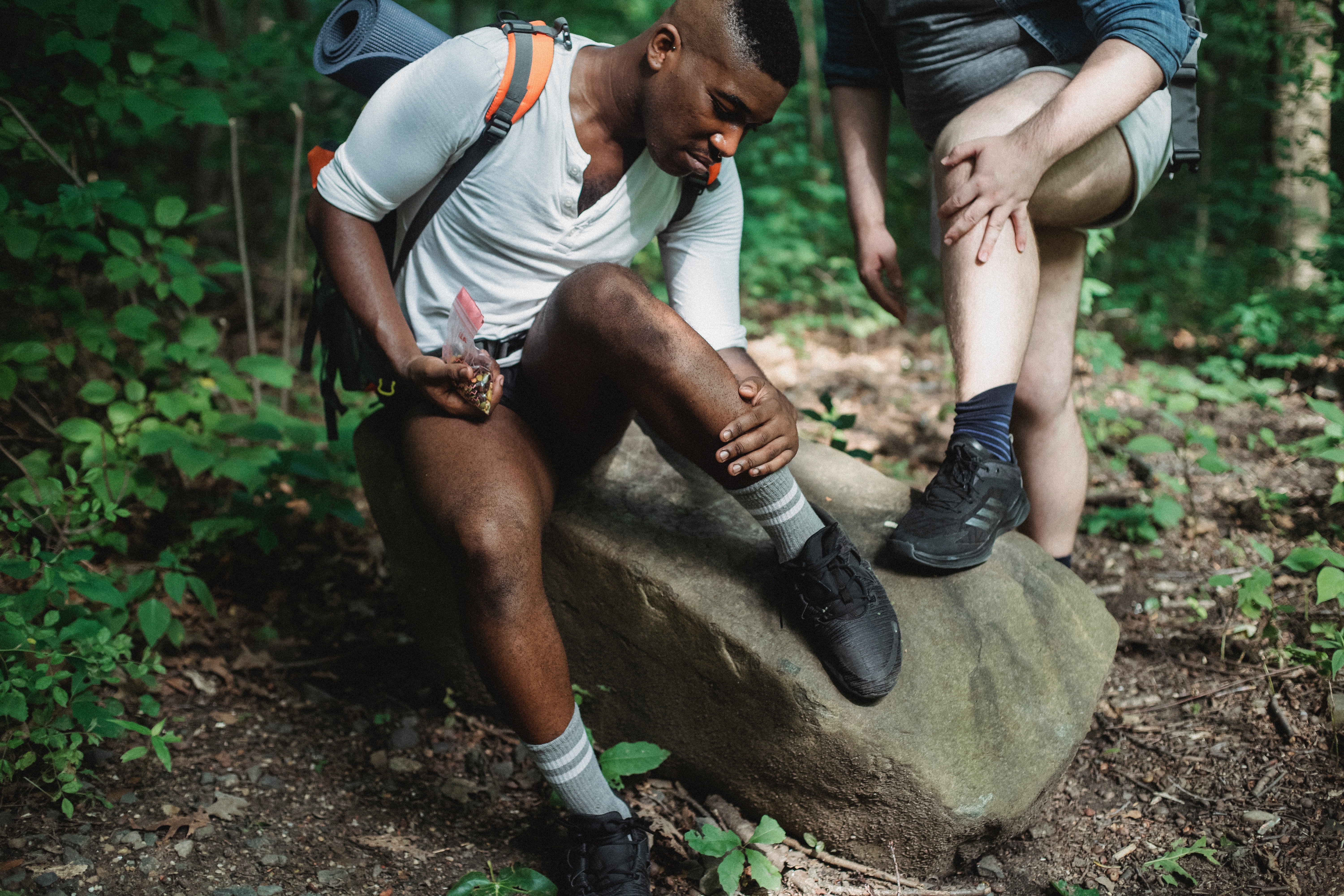 Pictured - Two males checking acari during hike in the forest | Source: Pexels 
