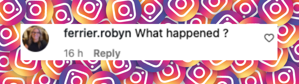 Netizen comment about the police presence at Kris Jenner's 70th birthday party, posted on November 9, 2025. | Source: Instagram/tmz_tv