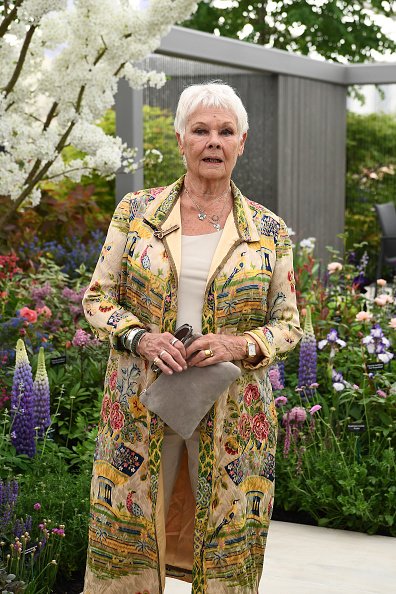 Dame Judy Dench attends the RHS Chelsea Flower Show on May 20, 2019. | Photo: Getty Images