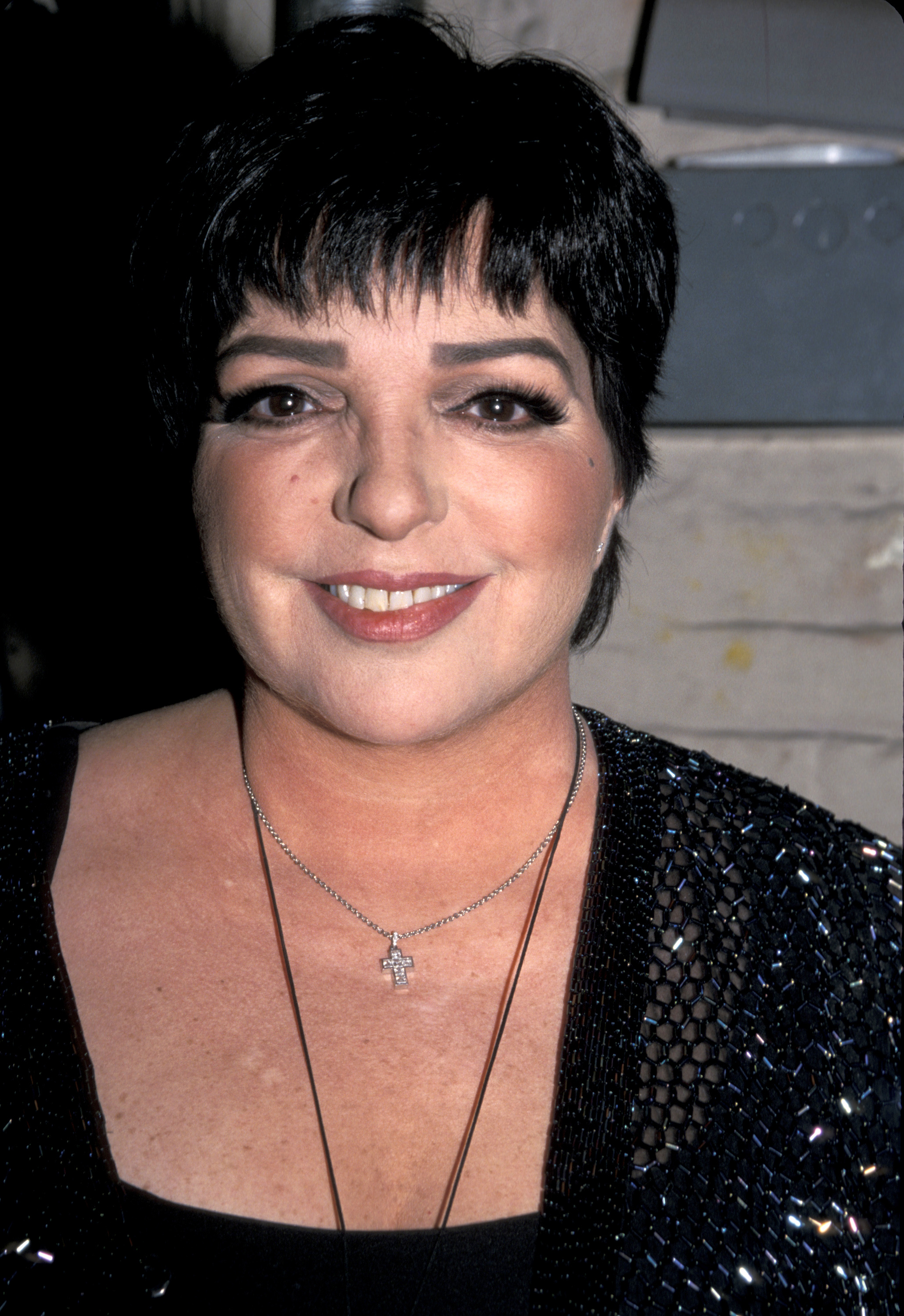 Liza Minnelli attends the 14th Annual MAC Awards at Town Hall in New York City, New York. | Source: Getty Images