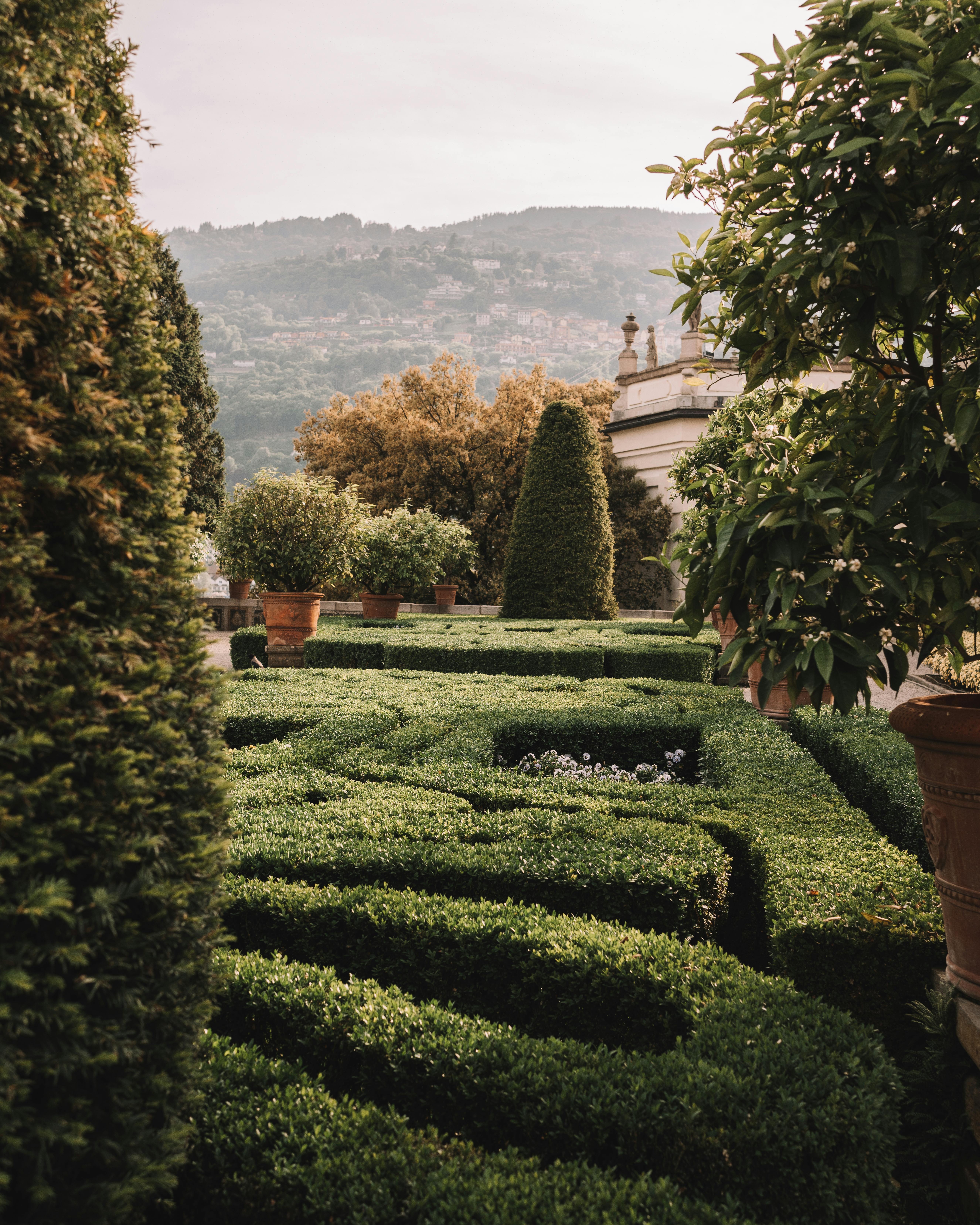 Trimmed hedges | Source: Pexels