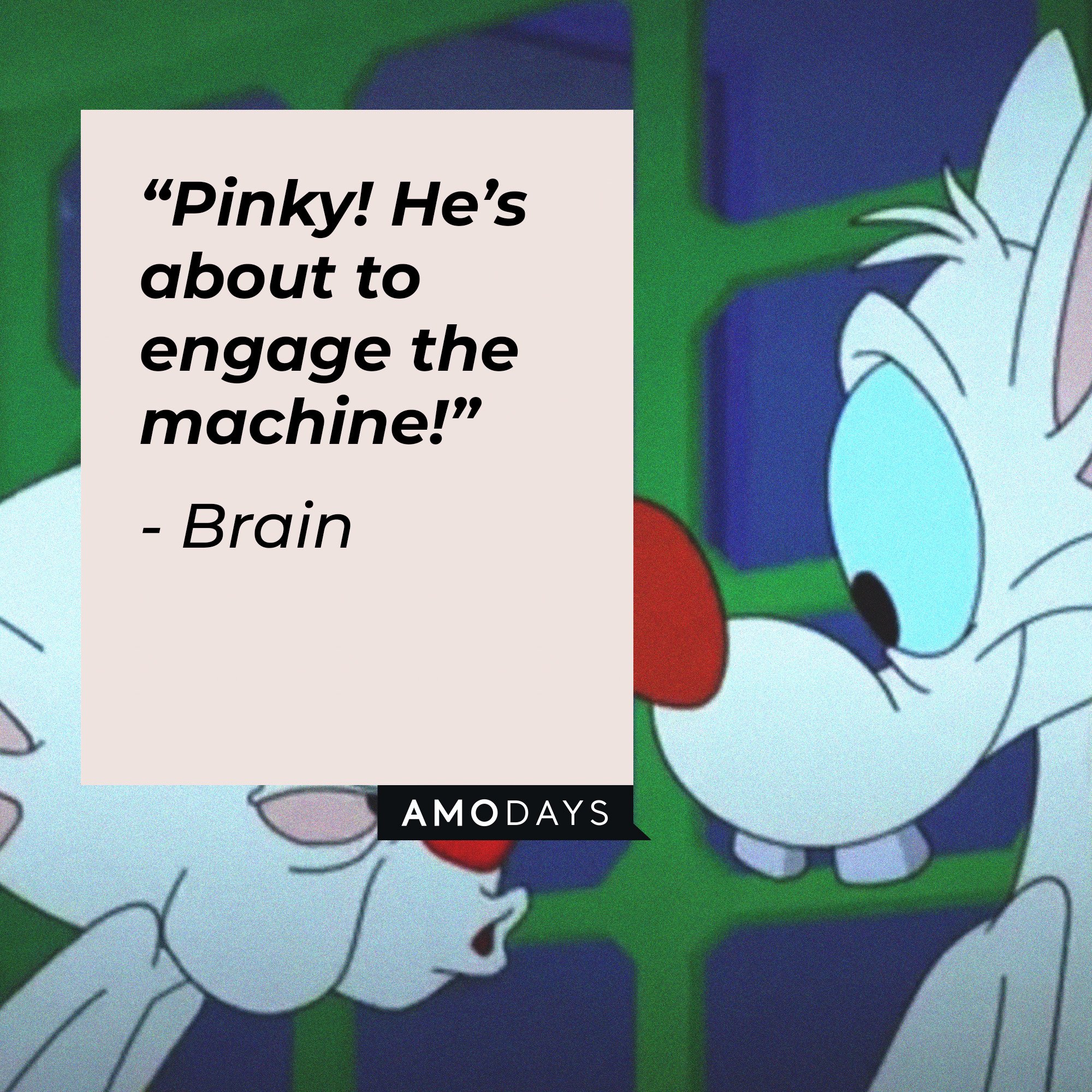  Brain's quote: “Pinky! He’s about to engage the machine!” | Image: AmoDays 