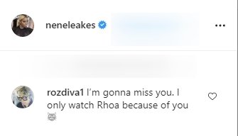 A fan's comment on NeNe Leakes's photo. | Source: Instagram/neneleakes