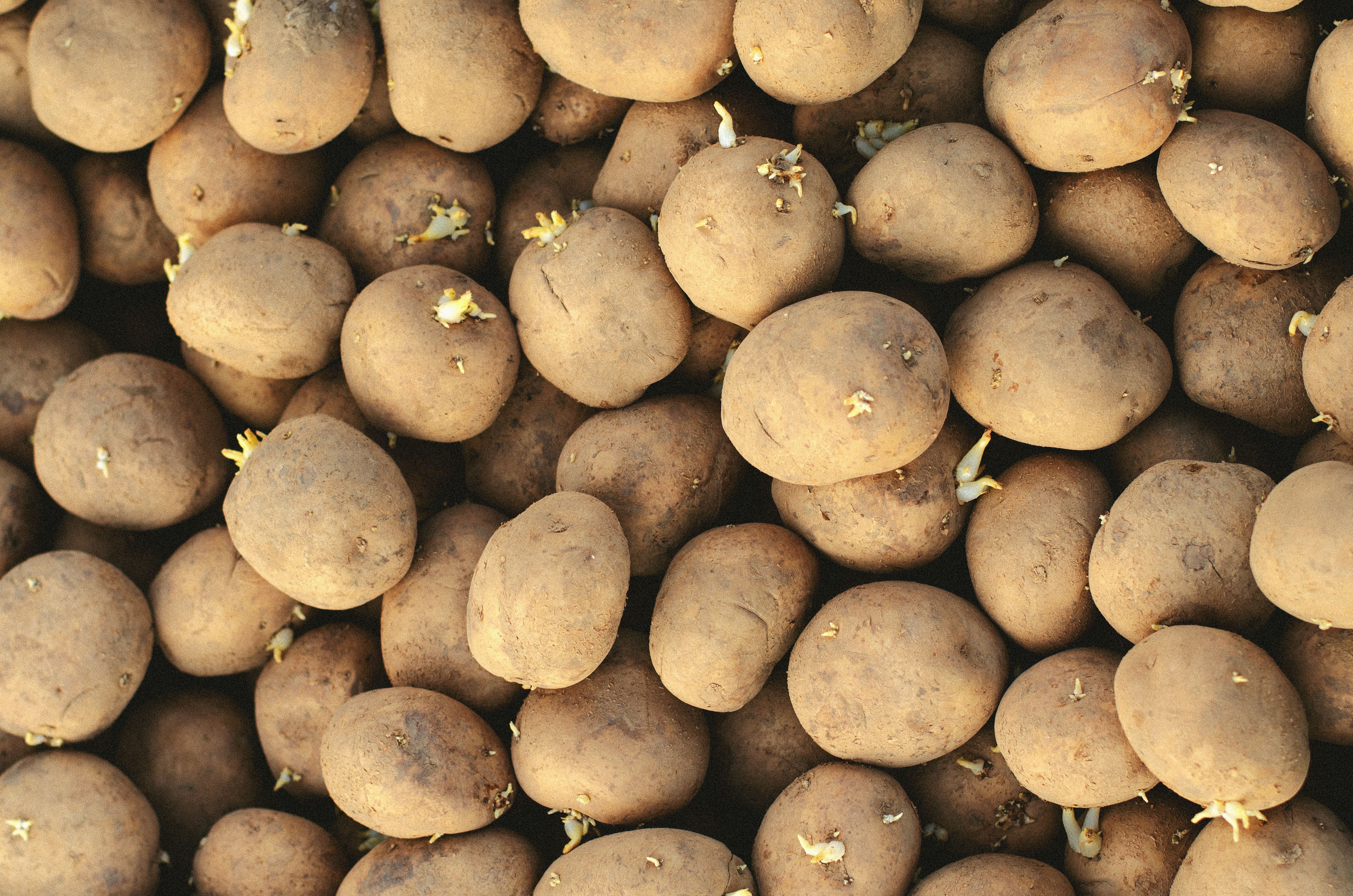 A bunch of potatoes | Source: Pexels