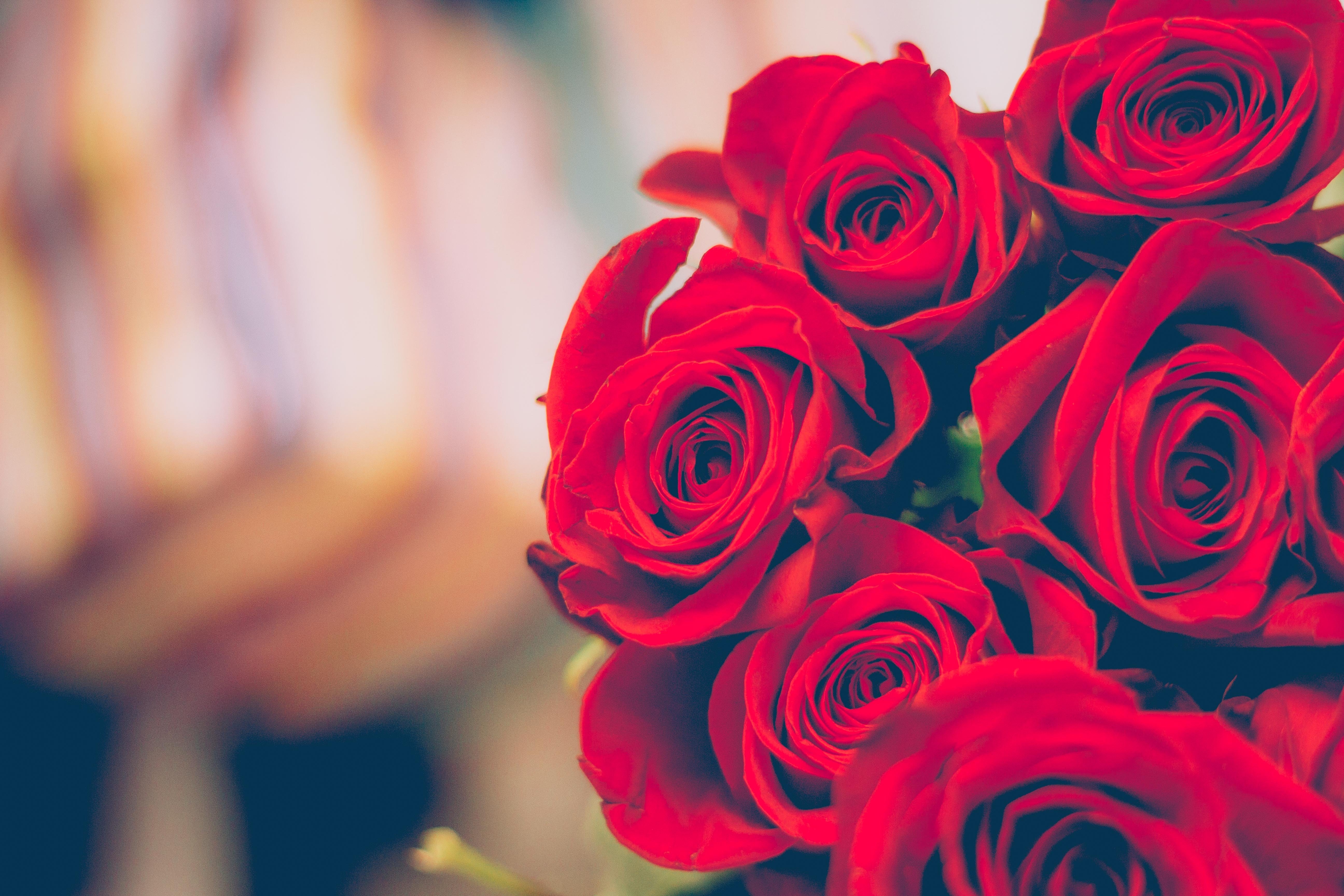 A bunch of roses. | Source: Pexels