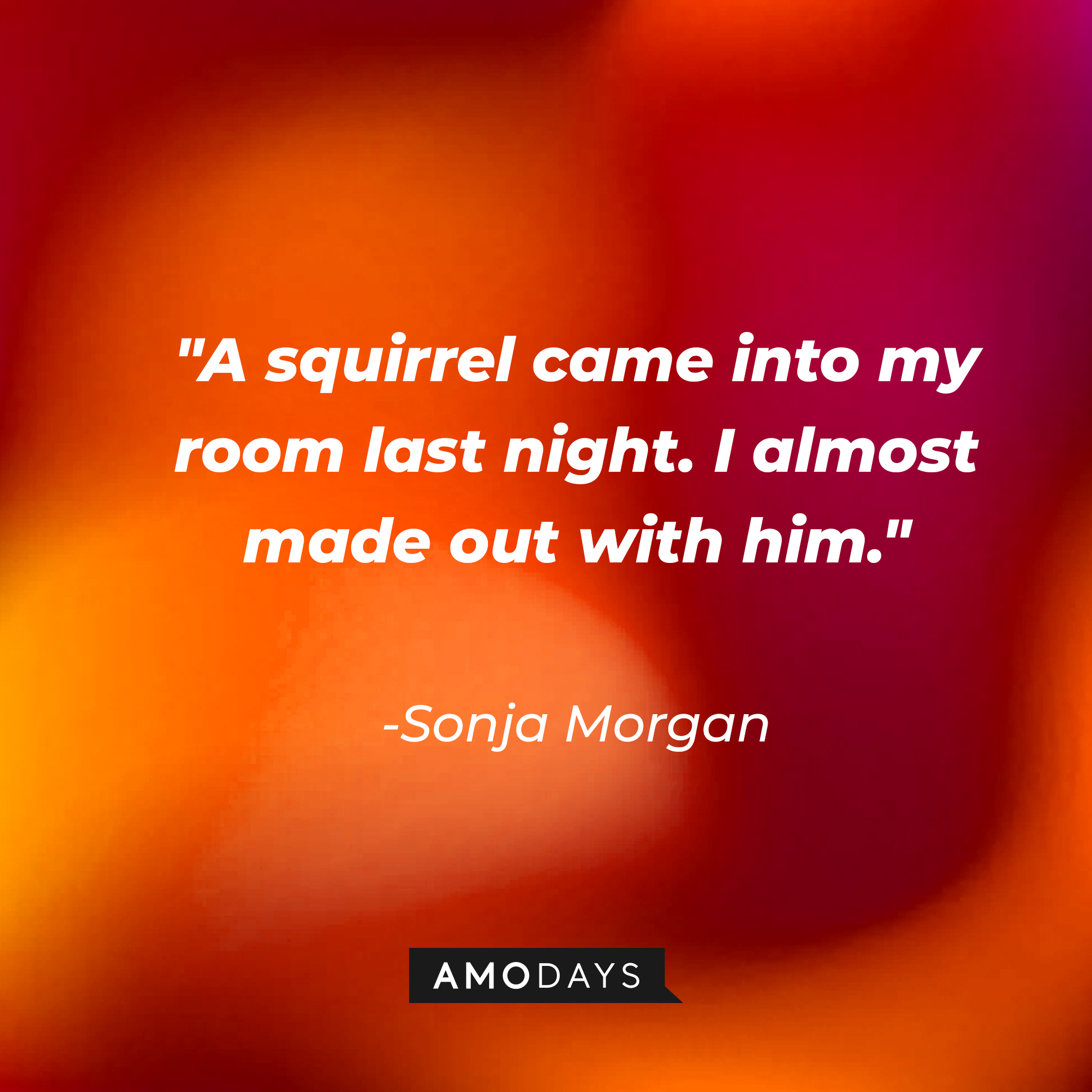 Sonja Morgan's quote: "A squirrel came into my room last night. I almost made out with him." | Source: Amodays
