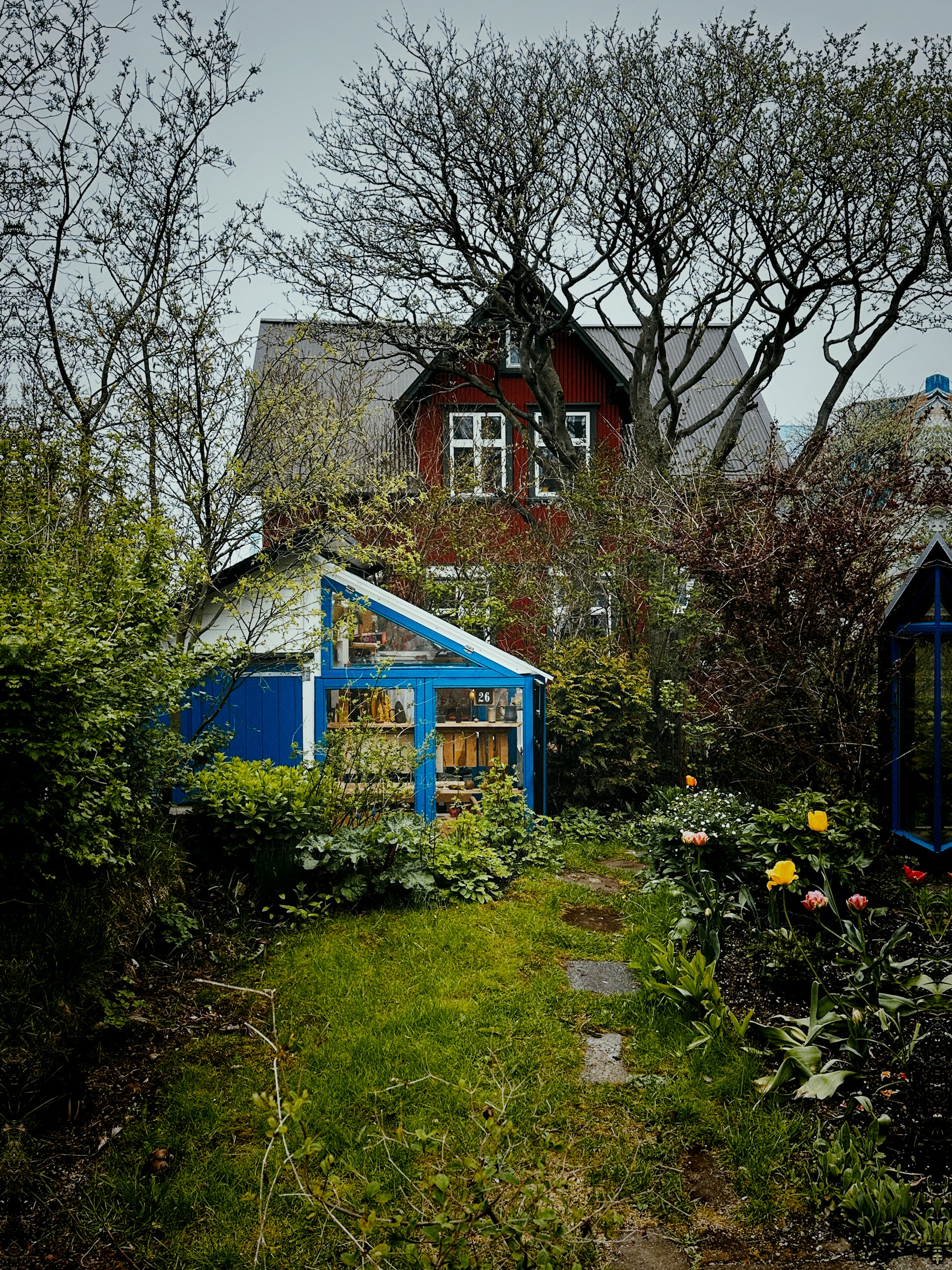 A house with an overgrown garden | Source: Unsplash