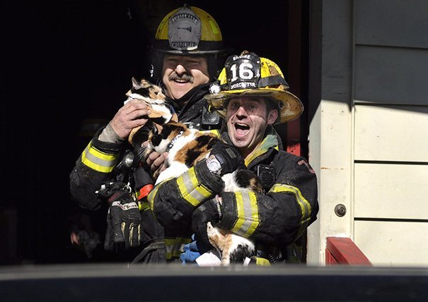 Des pompiers sauvant une vie. | Image : Chiefworcester / Twitter Des pompiers sauvant une vie. | Image : Chiefworcester / Twitter