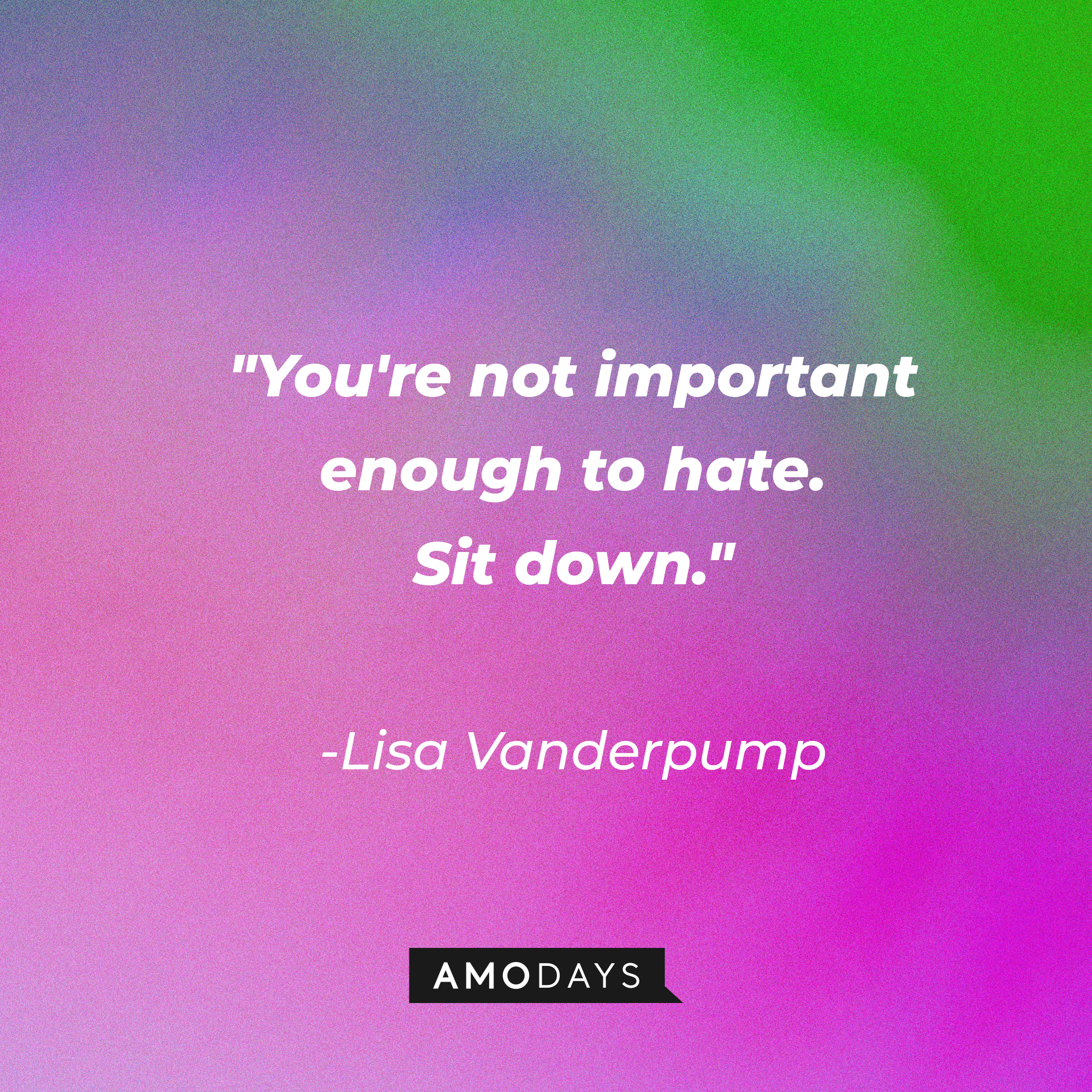 Lisa Vanderpump’s quote: "You're not important enough to hate. Sit down." | Source: AmoDays