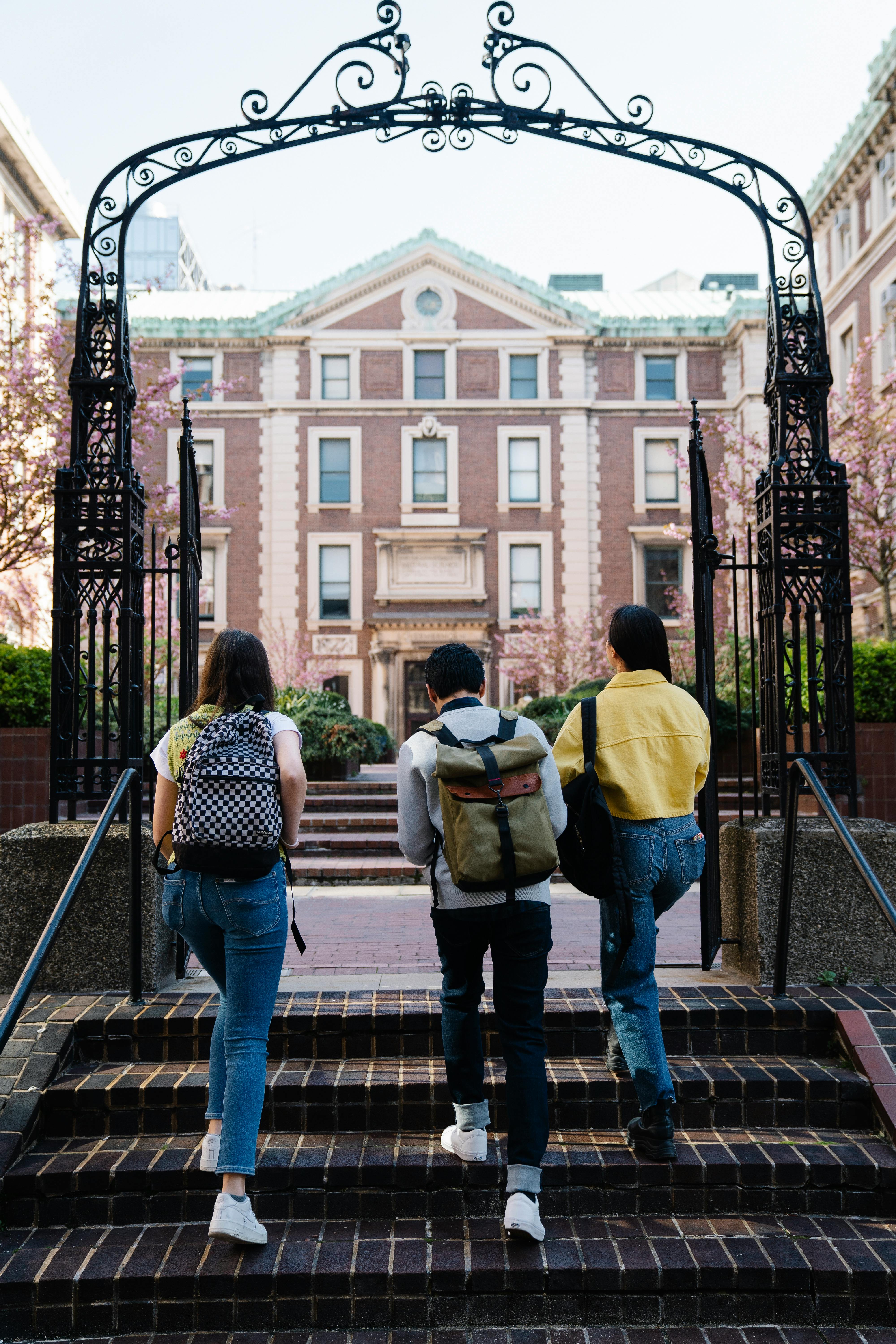 Julia's bustling college campus | Source: Pexels