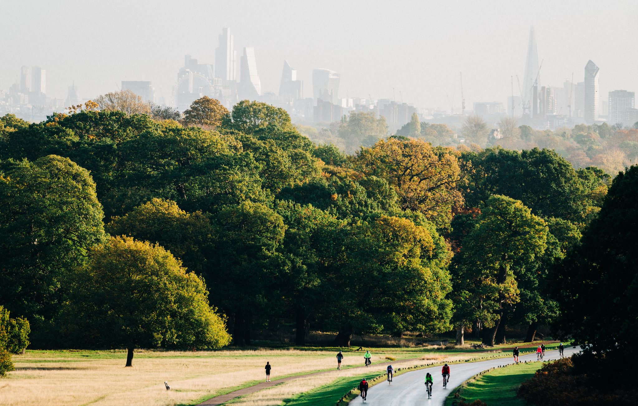 A view of London Park during daytime. | Source: Getty Images
