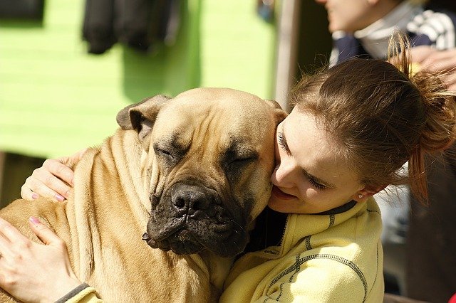 Woman hugs large dog | Photo: Pixabay