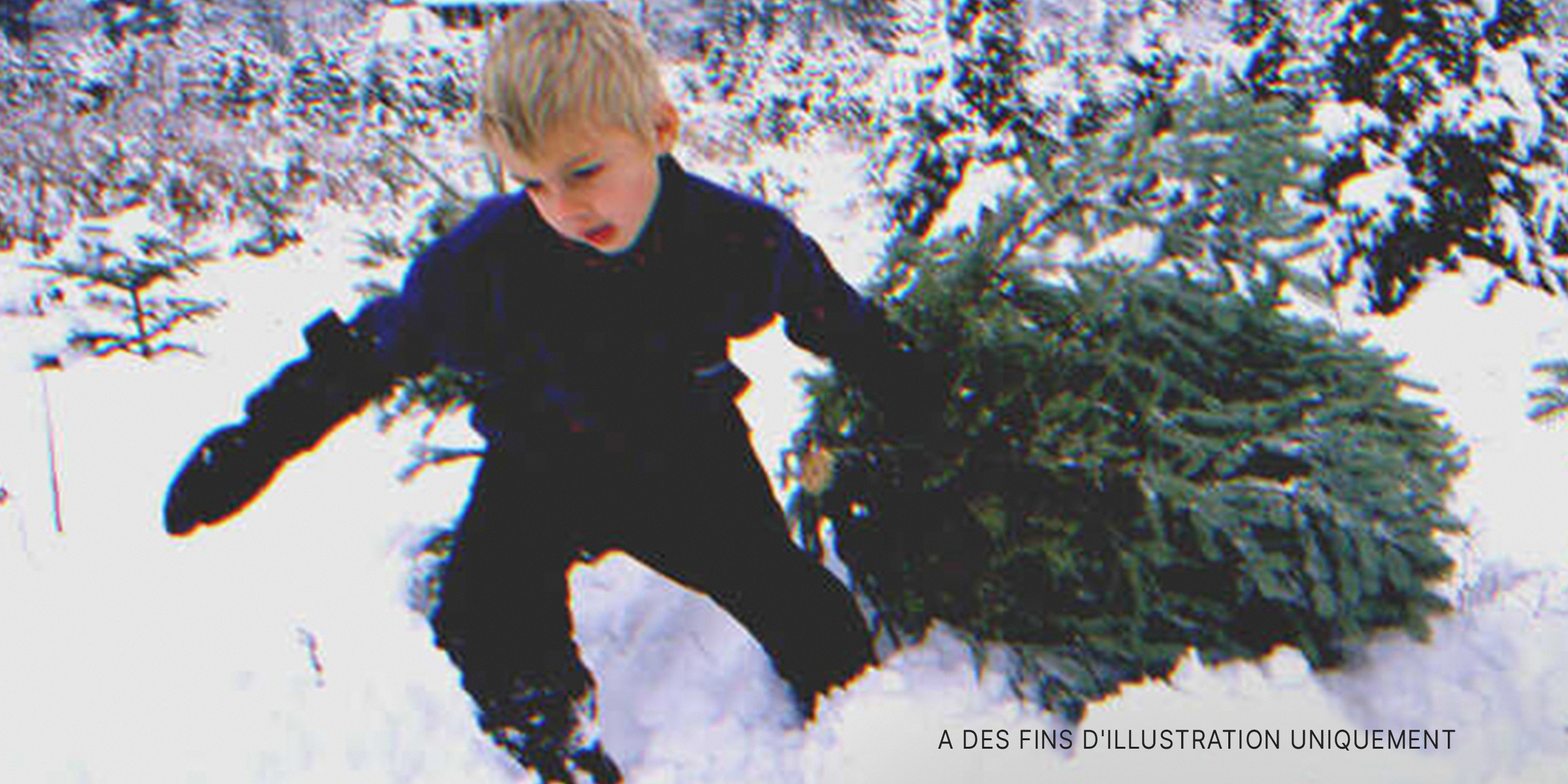 Un petit garçon tirant un arbre de Noël | Source : Getty Images