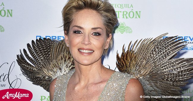Sharon Stone, 60, proves she's an ageless beauty as she flashes her fit body at recent outing