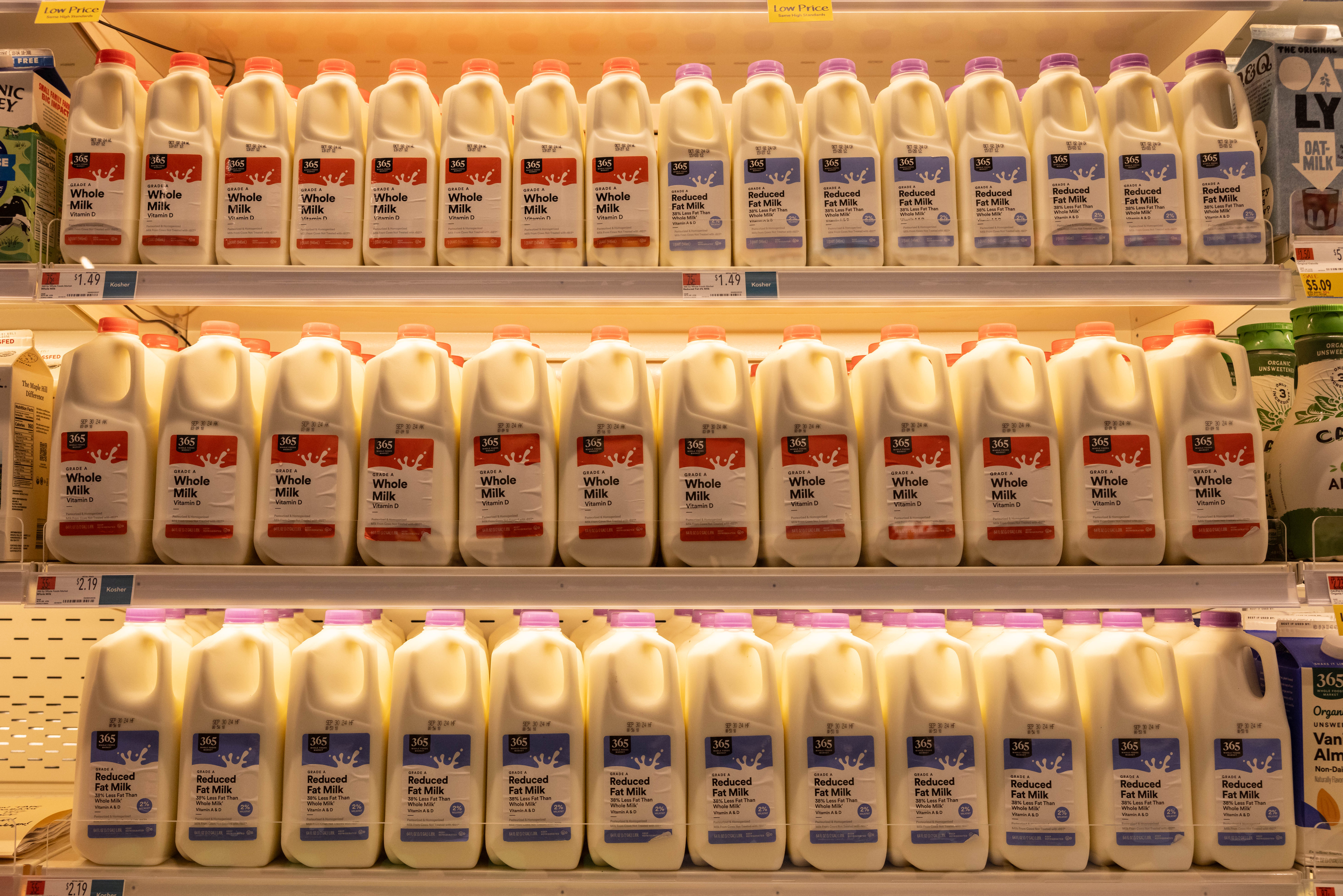 Bottles of milk for sale in a Whole Foods Market Daily Shop in New York on September 17, 2024 | Source: Getty Images