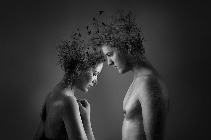 Créditos de la imagen: Pixabay