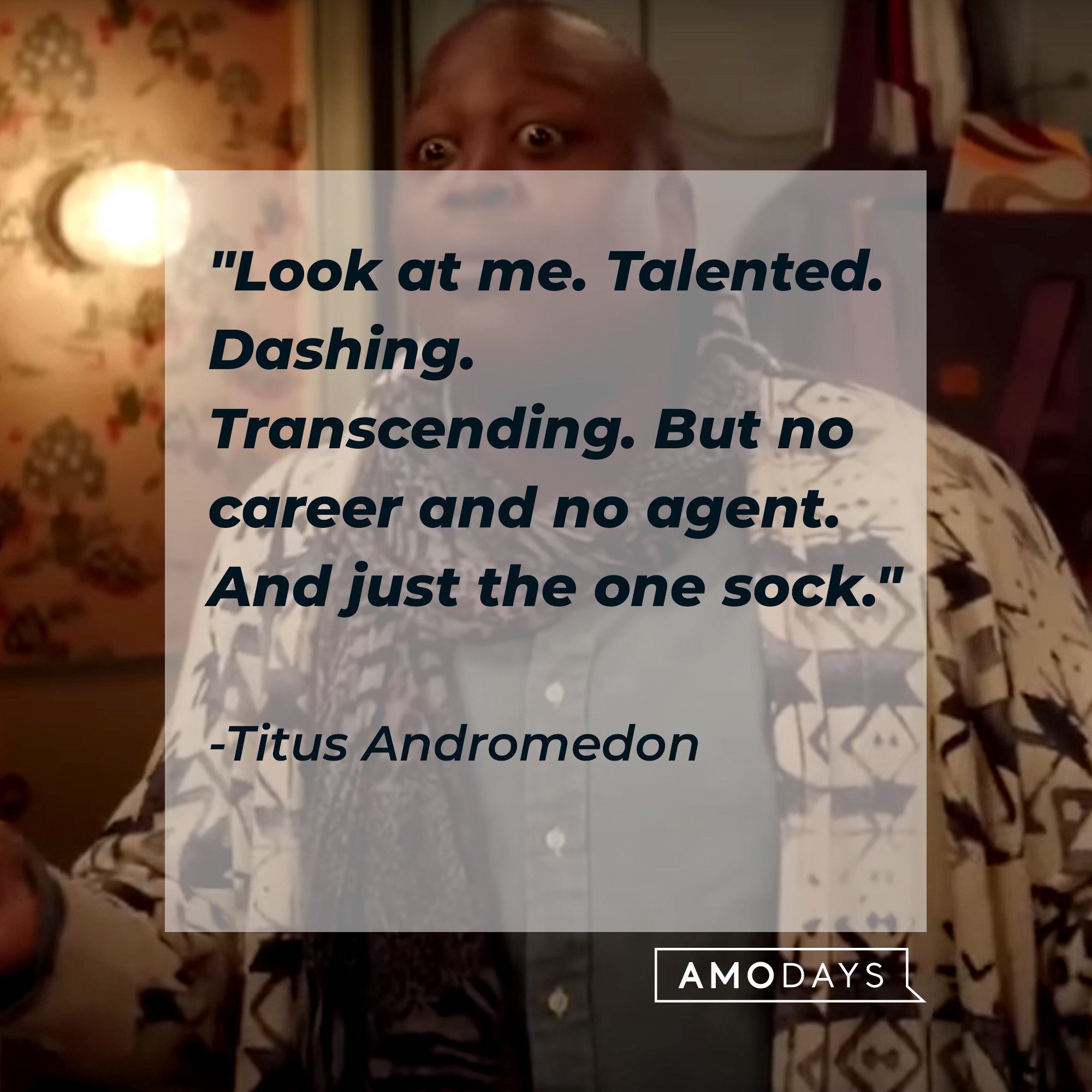 A photo of Titus Andromedon with the quote, "Look at me. Talented. Dashing. Transcending. But no career and no agent. And just the one sock." | Source: YouTube/Netflix