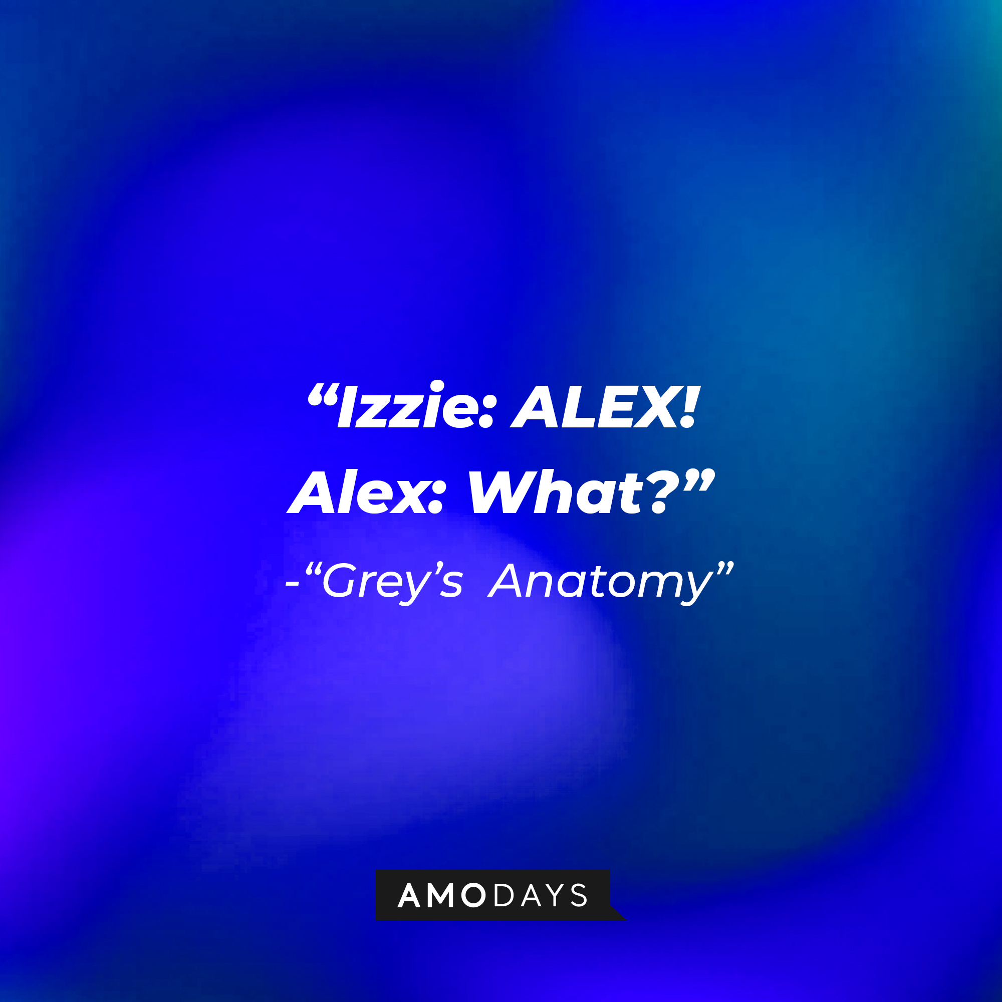 Izzie Stevens' quote: "ALEX!" Alex: "What?" | Image: Amodays