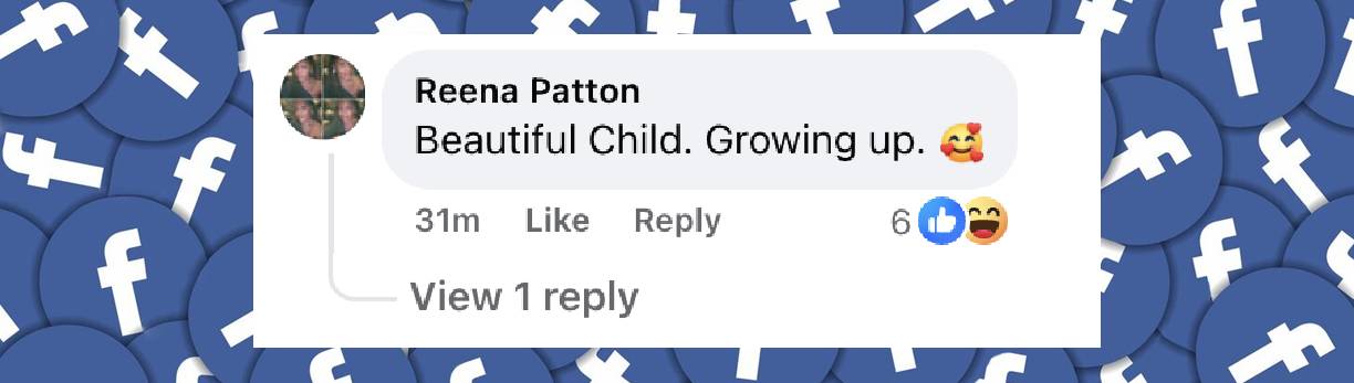 A netizen's comment on Blue Ivy Carter's appearance at the "Mufasa: The Lion King" premiere, posted on December 9, 2024 | Source: Facebook.com/HollywoodReporter