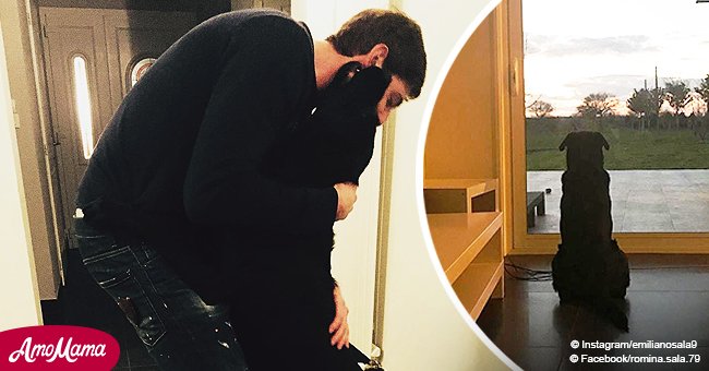 Disparition d'Emiliano Sala : son fidèle chien attend patiemment son propriétaire (photo)