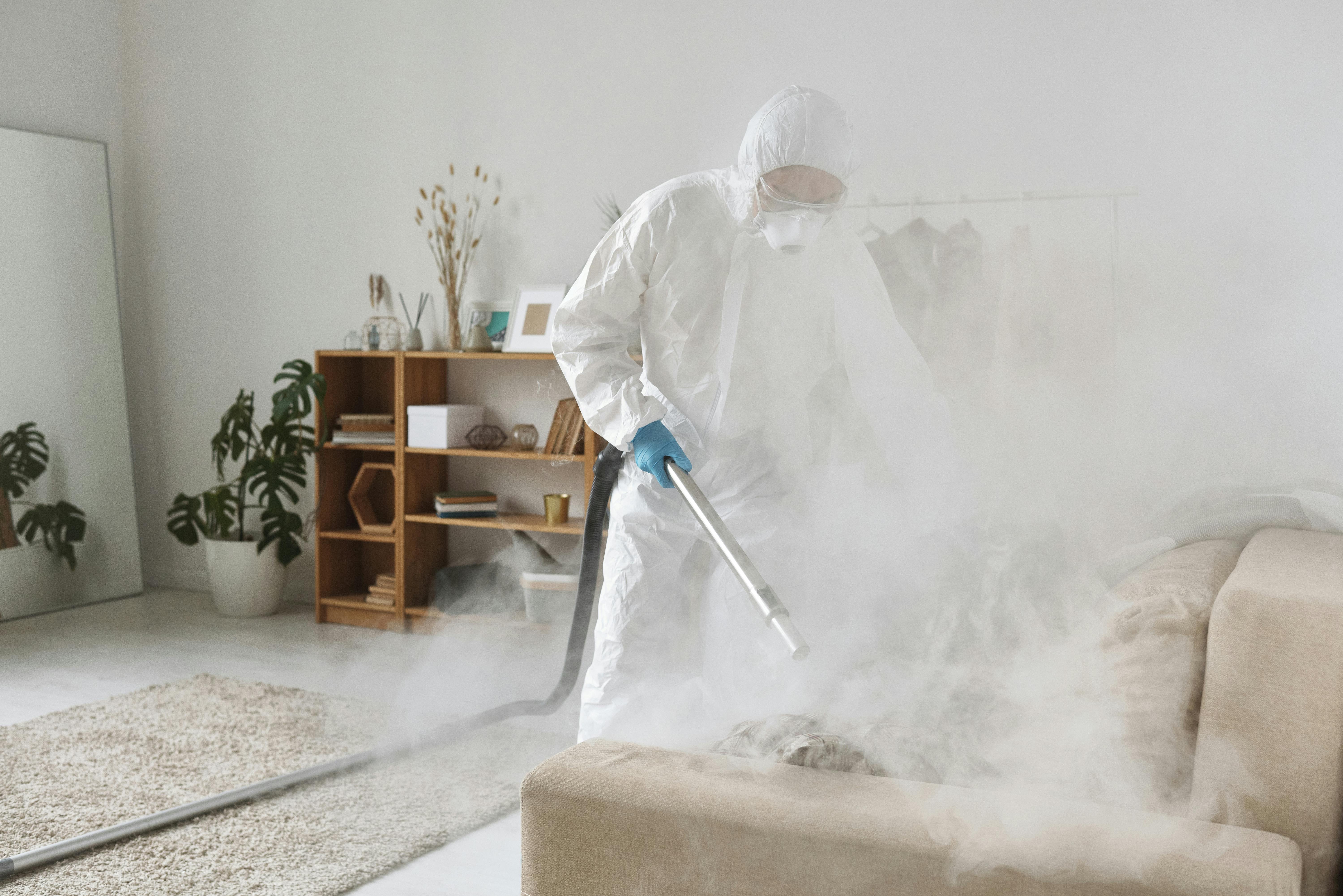 Steam disinfecting a couch | Source: Pexels