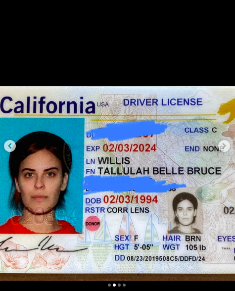 Tallulah Willis's ID card posted on November 15, 2023 | Source: Instagram/buuski