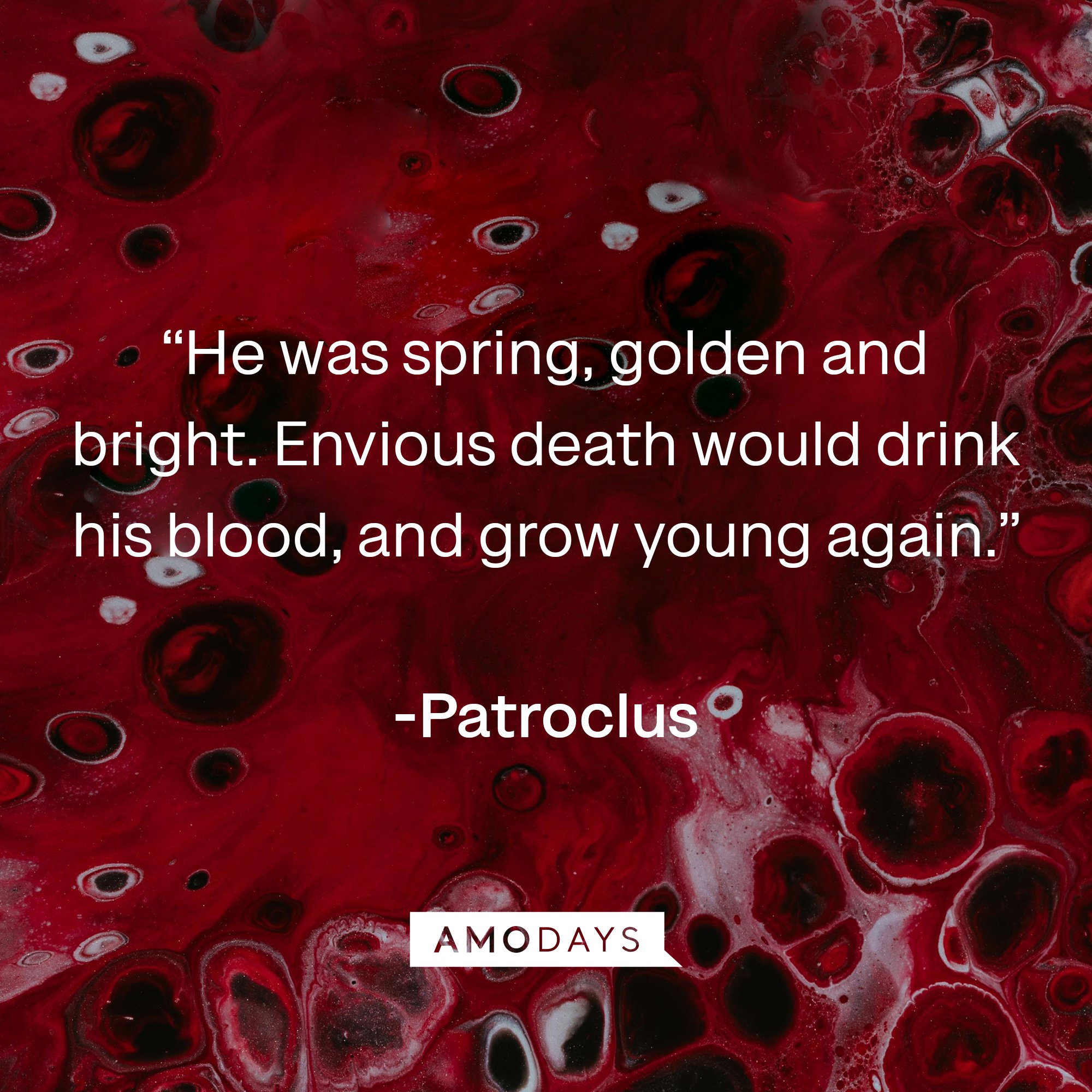 Patroclus's quote: “He was spring, golden and bright. Envious death would drink his blood, and grow young again.” | Image: AmoDays