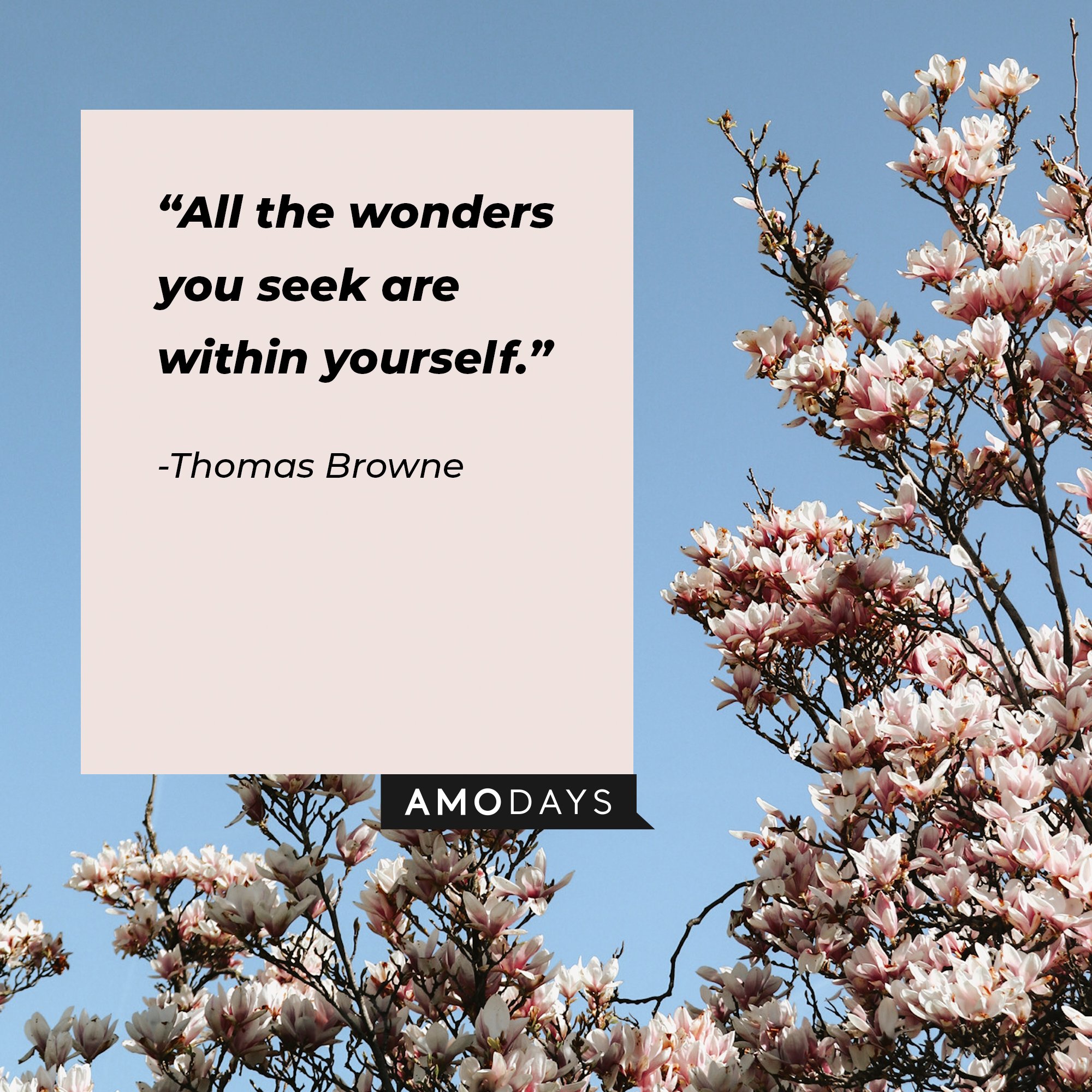 Thomas Browne's quote: “All the wonders you seek are within yourself.” | Image: AmoDays