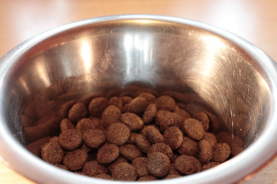 A bowl of dog food | Photo: Pixabay