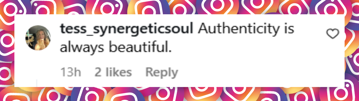 A netizen's comment about Paulina Porizkova's bathroom selfie uploaded on July 28, 2025 | Source: Instagram/paulinaporizkov