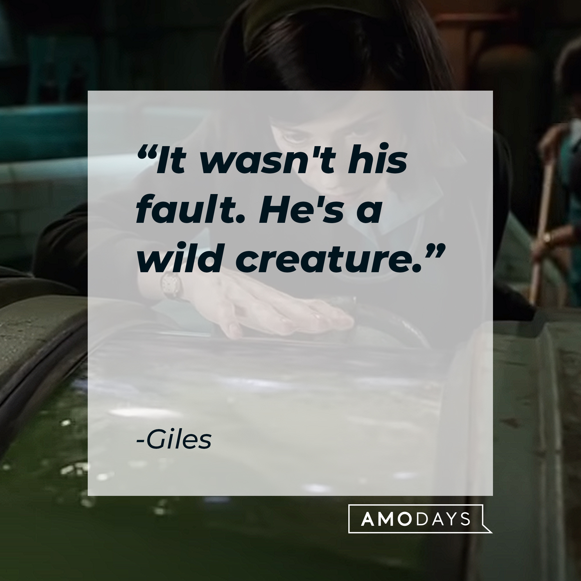 Giles's quote : “It wasn’t his fault. He’s a wild creature.” | Source:youtube.com/searchlightpictures