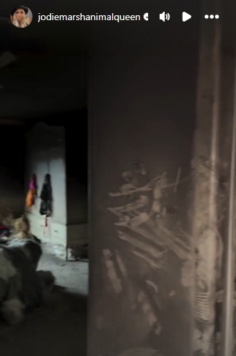 The walls of Jodie Marsh’s home were seen coated in thick soot, with smoke damage clearly visible in the aftermath of the fire. | Source: Instagram/jodiemarshanimalqueen