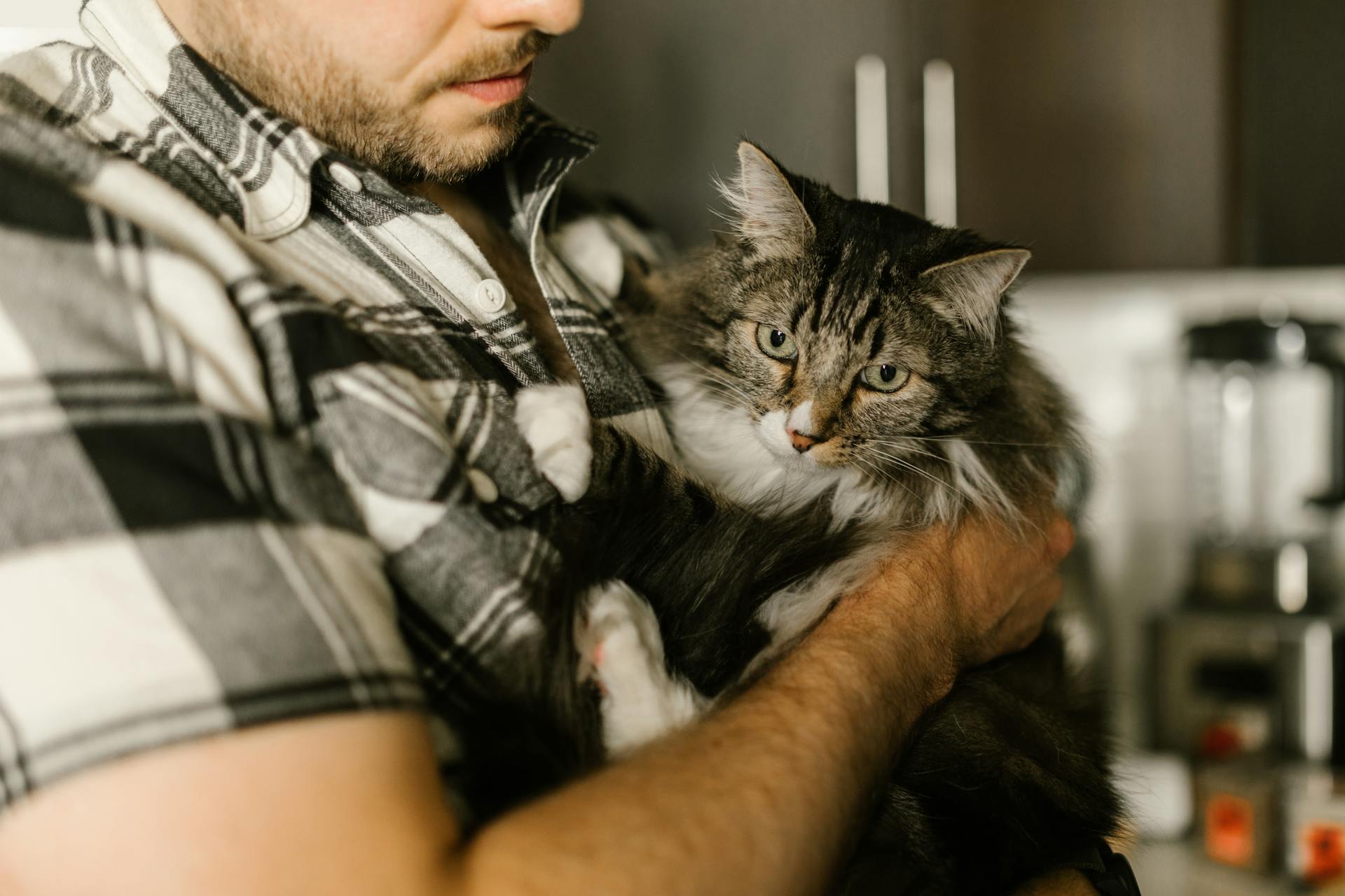 A man holding a cat | Source: Pexels