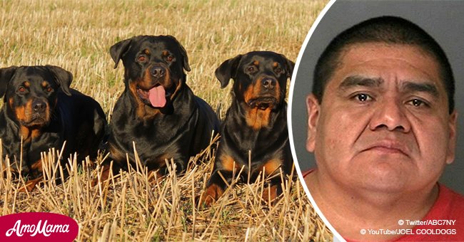 Man arrested for leaving his 20 dogs in frigid outdoor temperatures on Thanksgiving