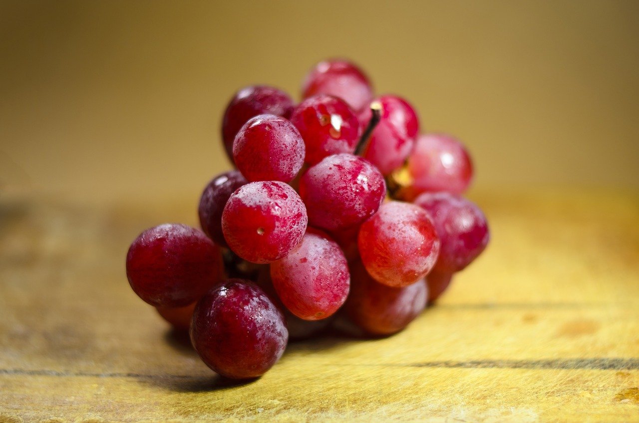 Racimo de uvas. | Foto: Pixabay