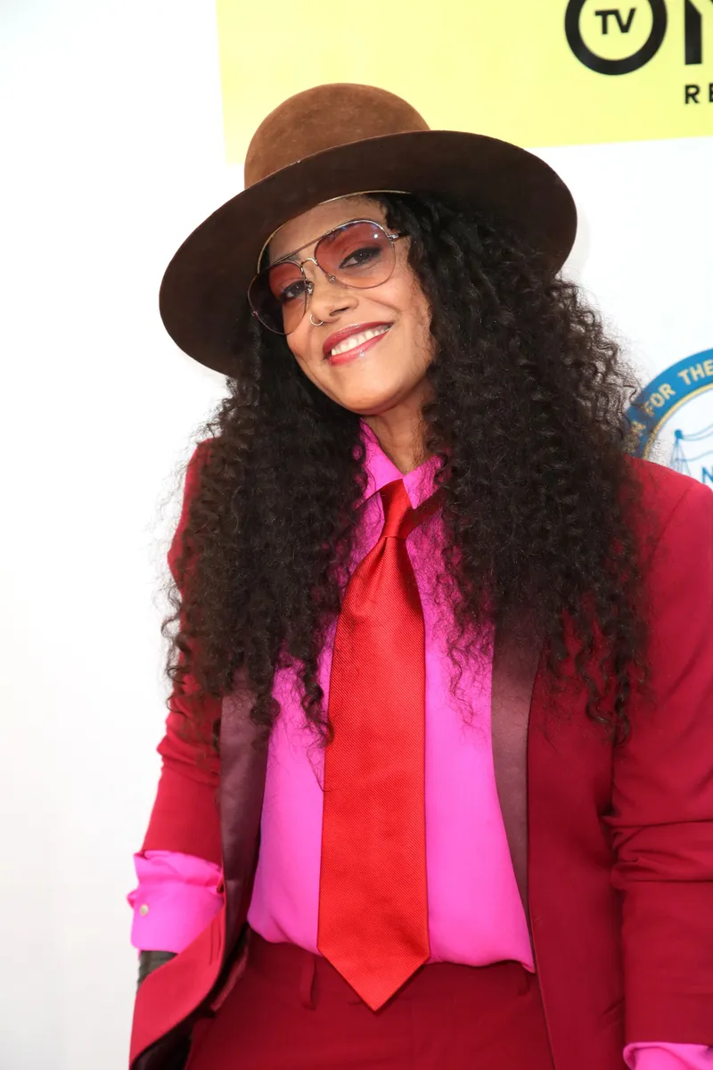 Voice actress Cree Summer at the NAACP Image Awards on February 11, 2017. | Source: Getty Images