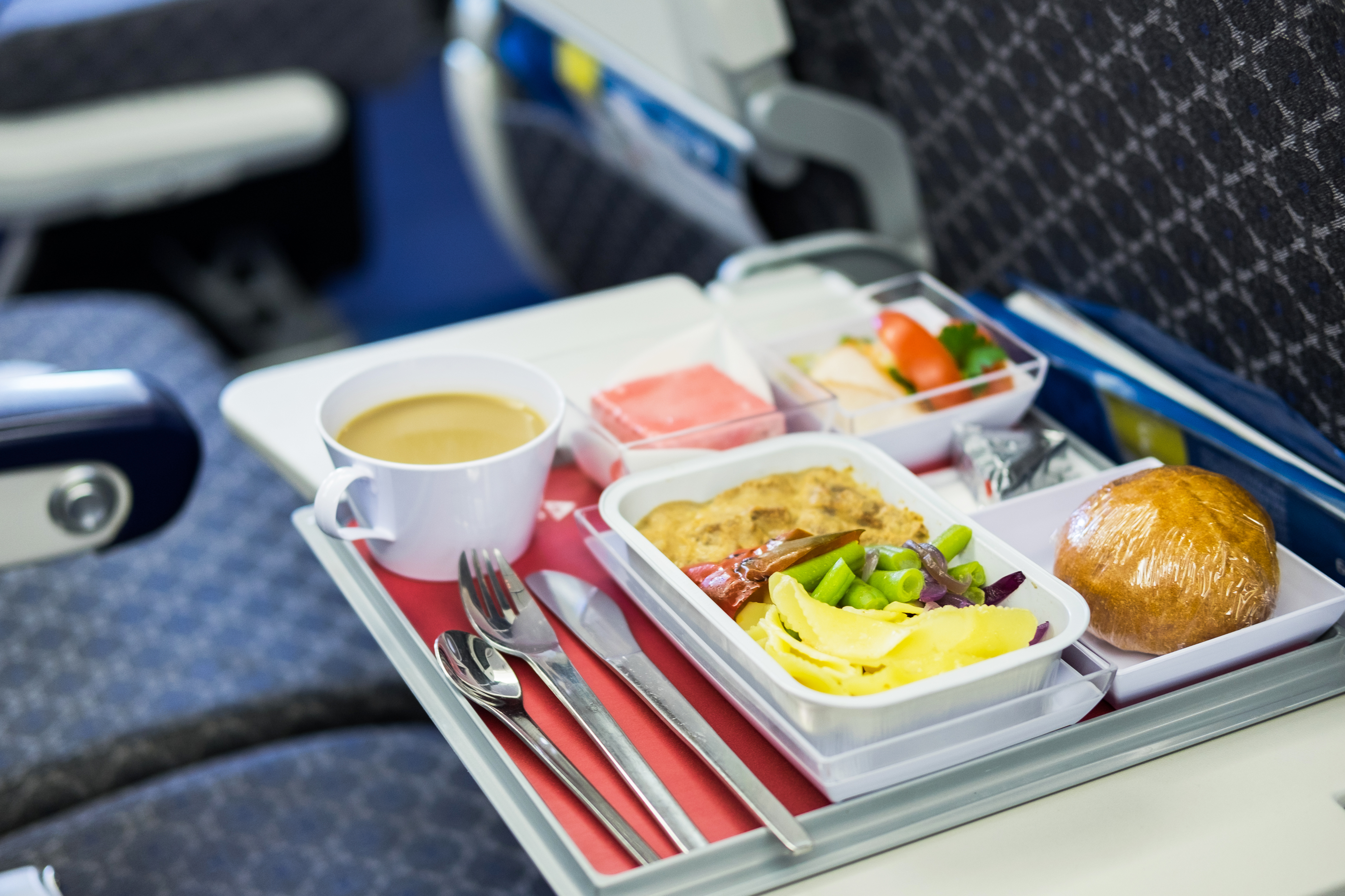 Food served in an airplane | Source: Shutterstock
