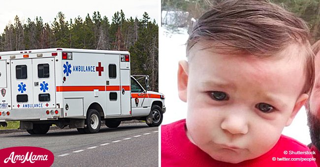 1-Year-Old Boy Tragically Dies after a Tree Falls on Him While He Was ...