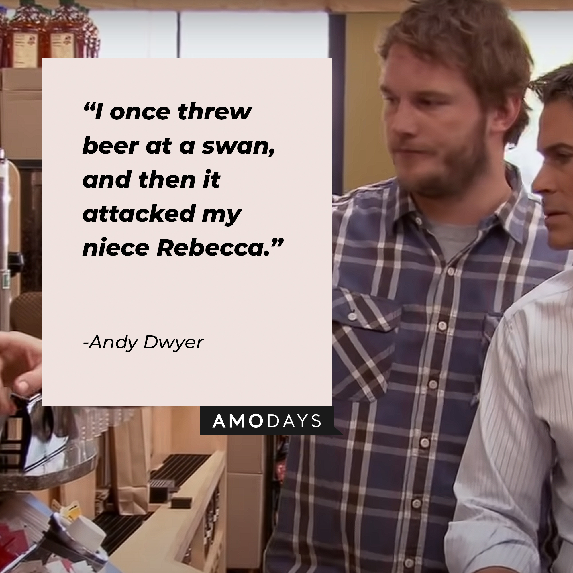 A picture of Andy Dwyer with his quote: "I once threw beer at a swan, and then it attacked my niece Rebecca." | Source: youtube.com/ParksandRecreation
