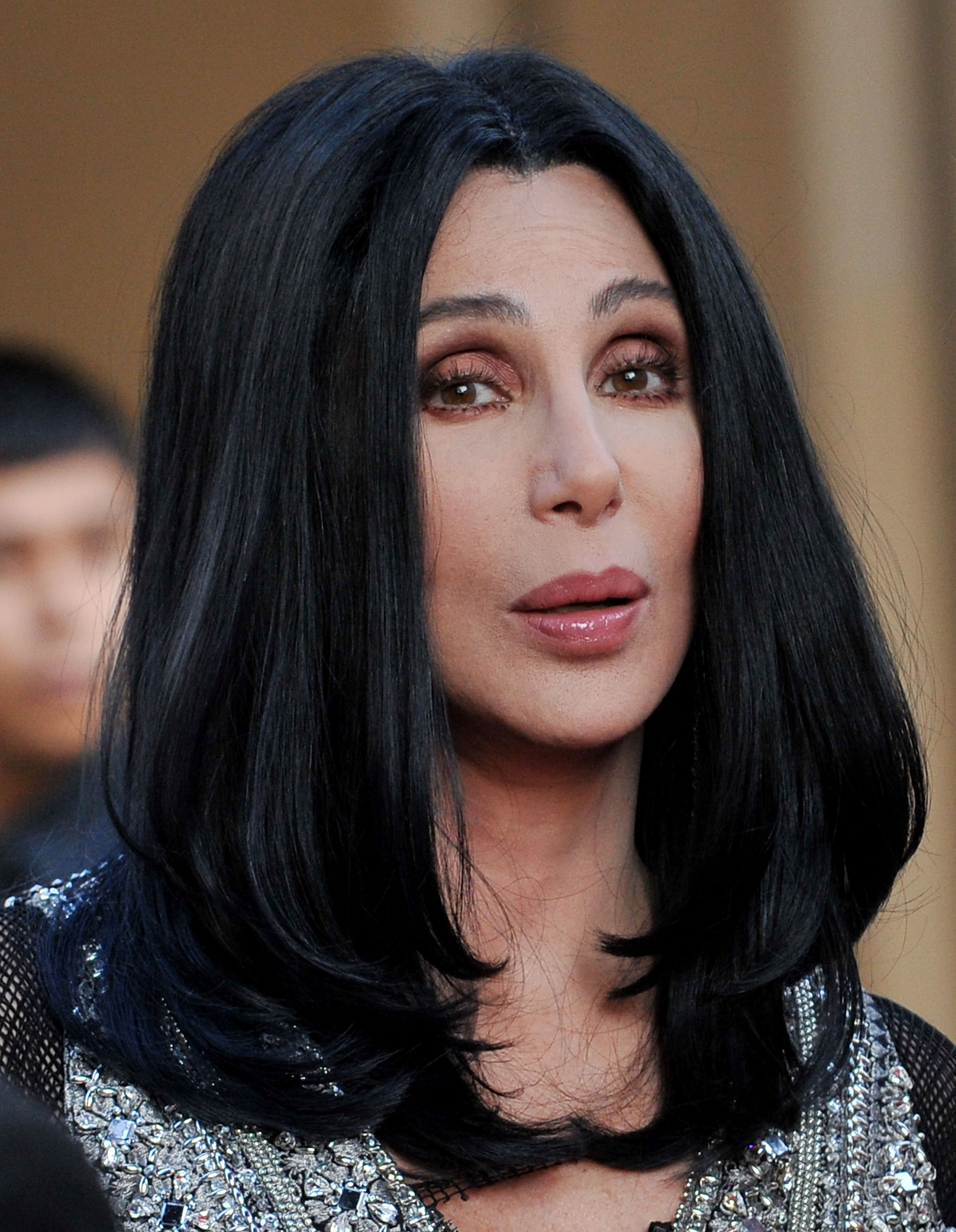 Cher at the AFI Life Achievement Awards in Los Angeles, California on June 10, 2010 | Source: Getty Images