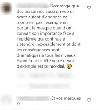 Capture d'écran du commentaire. | Instagram/sophie_davant