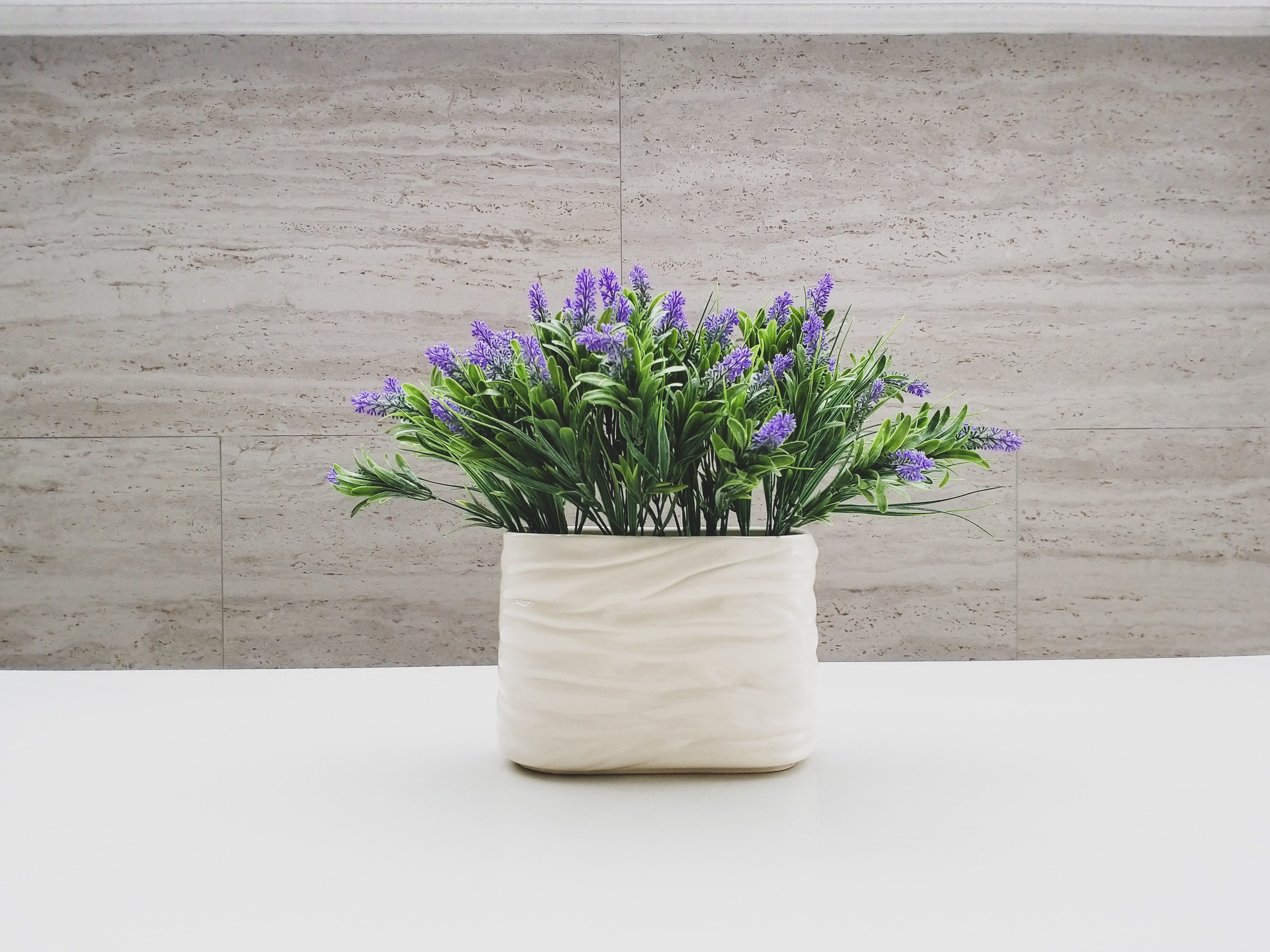 Plant in white pot | Unsplash 