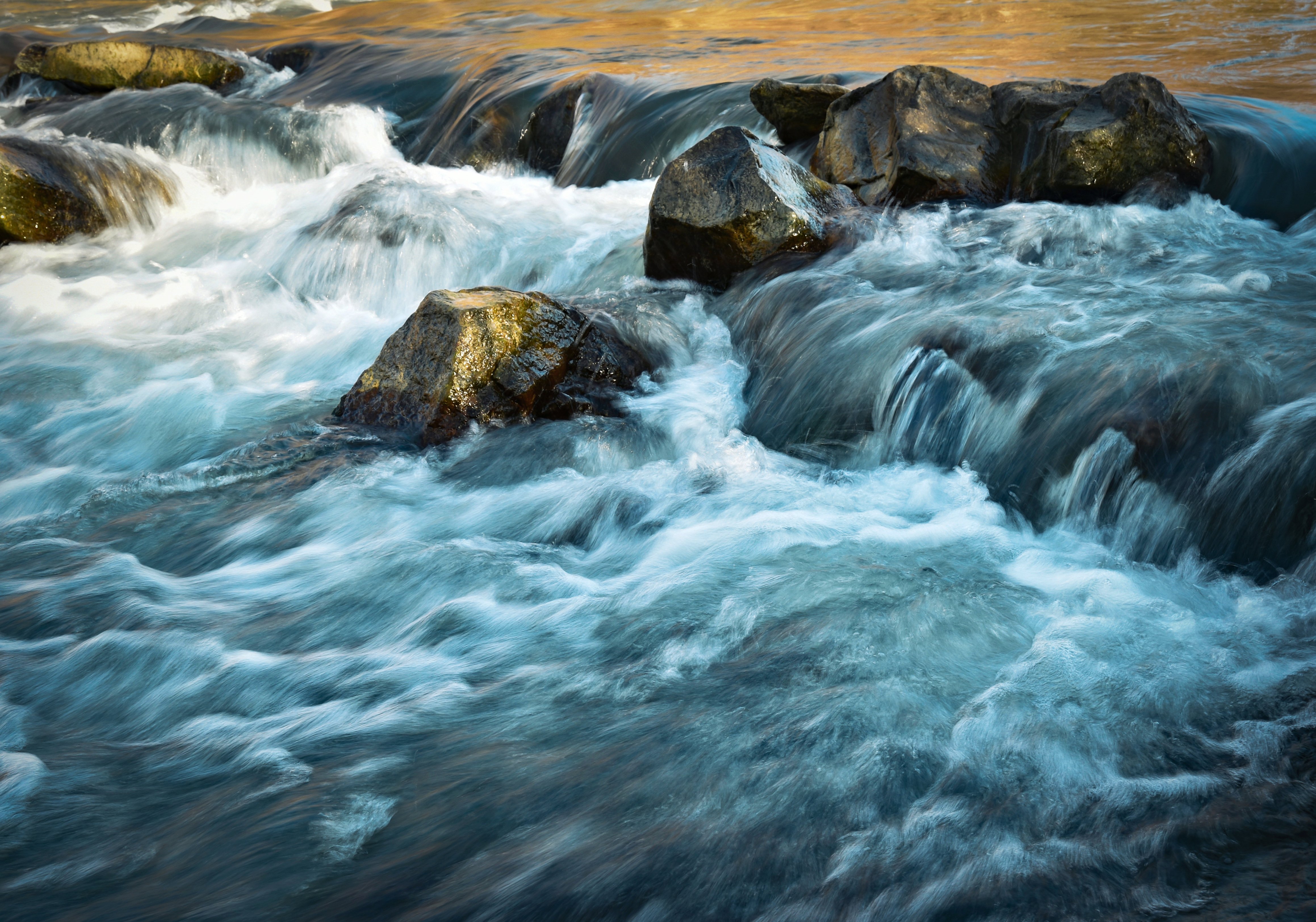 Image source: shutterstock