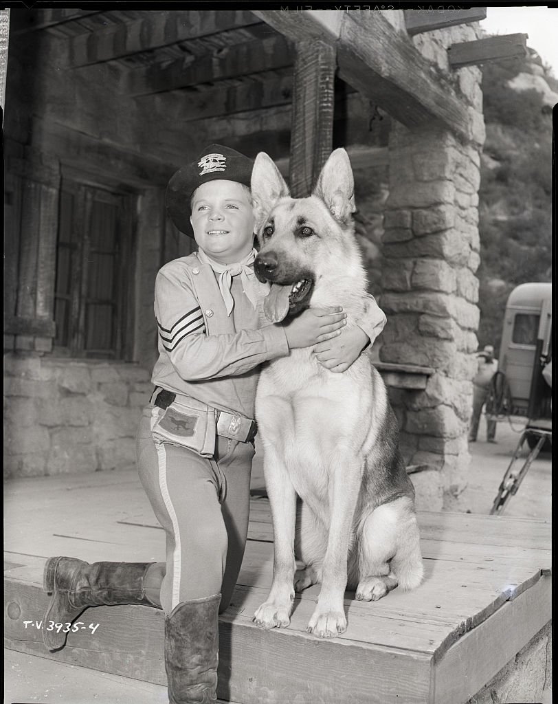 Lee Aaker tient Rin Tin Tin dans une photo de l'épisode "Rin Tin Tin et la patrouille perdue" de la série télévisée "Les Aventures de Rin Tin Tin" (1954-1959). | Photo : Getty Images