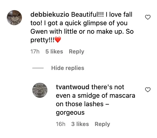 Comments about Gwen Stefani | Source: Instagram.com/Gwen Stefani