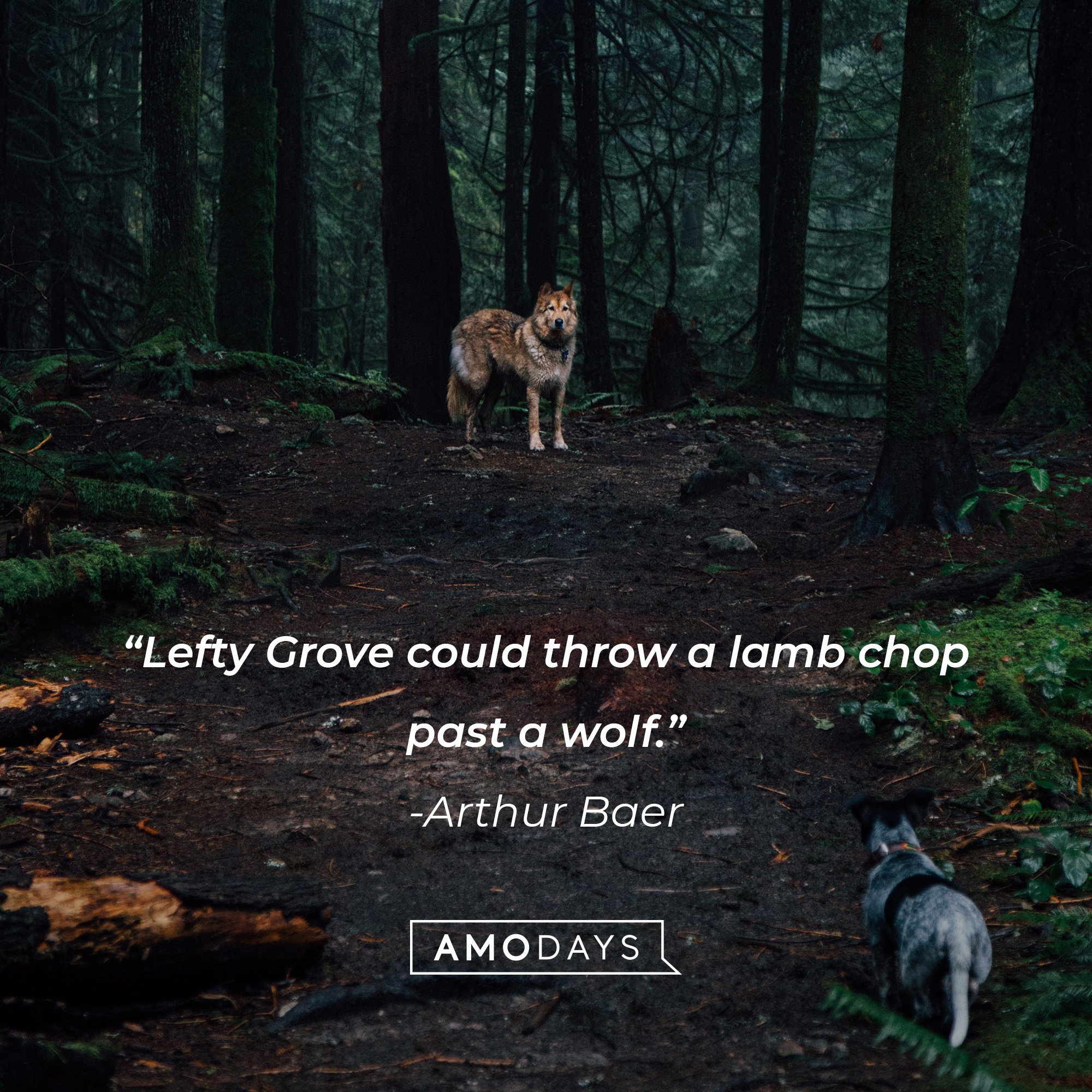 Arthur Baer's quote: “Lefty Grove could throw a lamb chop past a wolf.” | Image: AmoDays